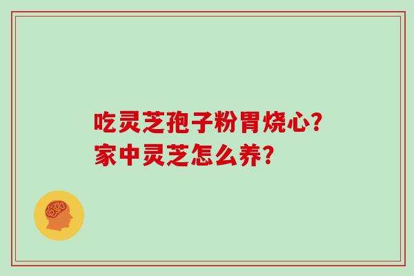 吃灵芝孢子粉胃烧心?家中灵芝怎么养?