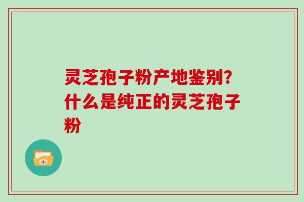 灵芝孢子粉产地鉴别?什么是纯正的灵芝孢子粉