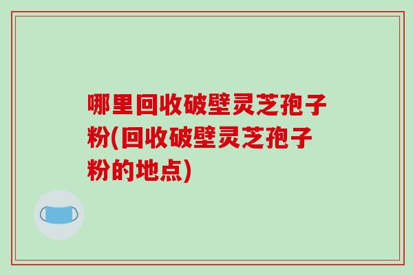 哪里回收破壁灵芝孢子粉(回收破壁灵芝孢子粉的地点)