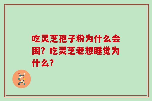 吃灵芝孢子粉为什么会困?吃灵芝老想睡觉为什么?