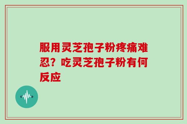 服用灵芝孢子粉疼痛难忍?吃灵芝孢子粉有何反应