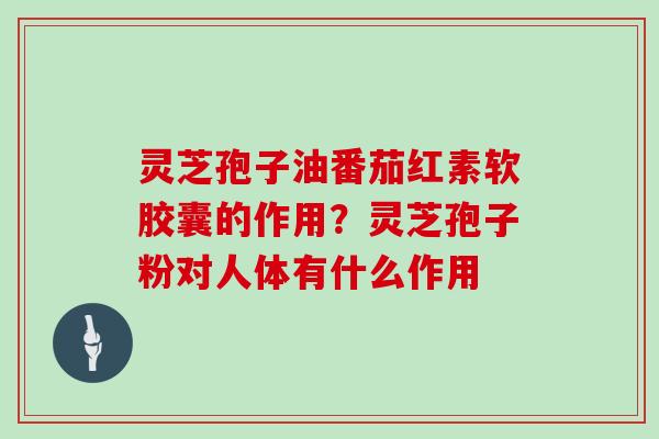 灵芝孢子油番茄红素软胶囊的作用?灵芝孢子粉对人体有什么作用