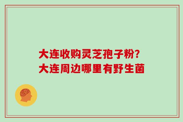 大连收购灵芝孢子粉？大连周边哪里有野生菌