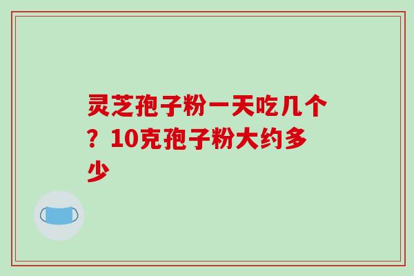 灵芝孢子粉一天吃几个?10克孢子粉大约多少