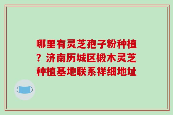 哪里有灵芝孢子粉种植?济南历城区椴木灵芝种植基地联系祥细地址