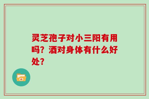 灵芝孢子对小三阳有用吗?酒对身体有什么好处?