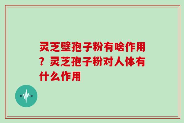 灵芝壁孢子粉有啥作用?灵芝孢子粉对人体有什么作用