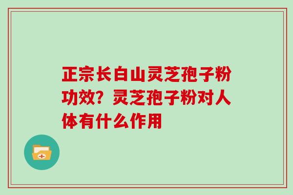 正宗长白山灵芝孢子粉功效？灵芝孢子粉对人体有什么作用