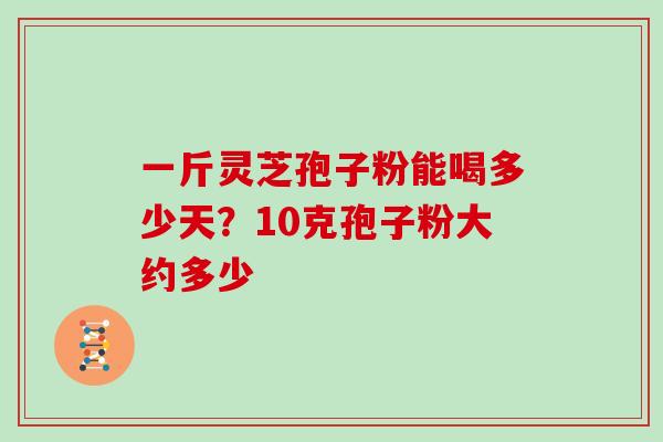 一斤灵芝孢子粉能喝多少天?10克孢子粉大约多少