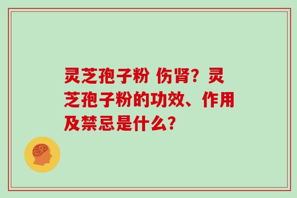 灵芝孢子粉 伤肾？灵芝孢子粉的功效、作用及禁忌是什么？