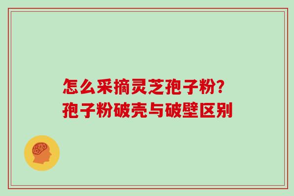 怎么采摘灵芝孢子粉?孢子粉破壳与破壁区别