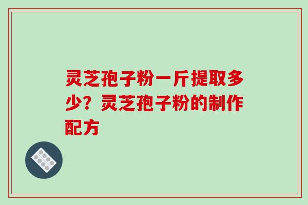 灵芝孢子粉一斤提取多少?灵芝孢子粉的制作配方