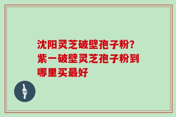沈阳灵芝破壁孢子粉？紫一破壁灵芝孢子粉到哪里买最好