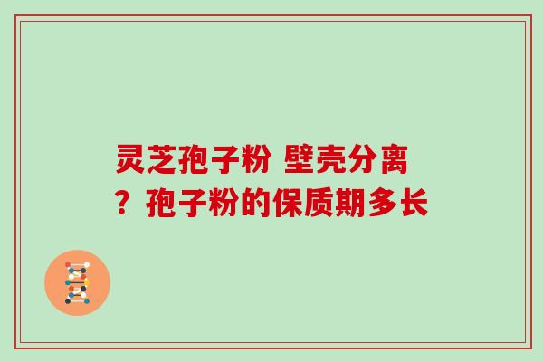 灵芝孢子粉 壁壳分离?孢子粉的保质期多长