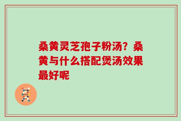 桑黄灵芝孢子粉汤?桑黄与什么搭配煲汤效果最好呢
