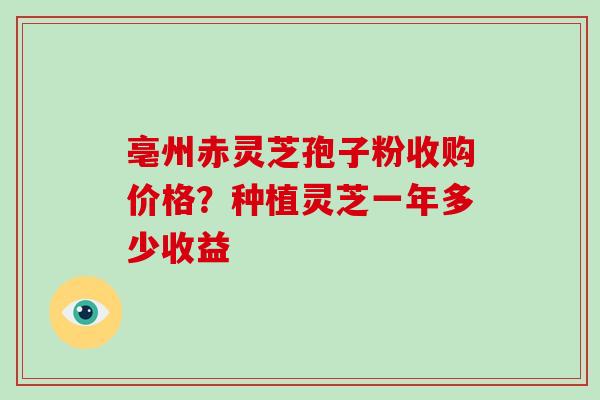 亳州赤灵芝孢子粉收购价格？种植灵芝一年多少收益