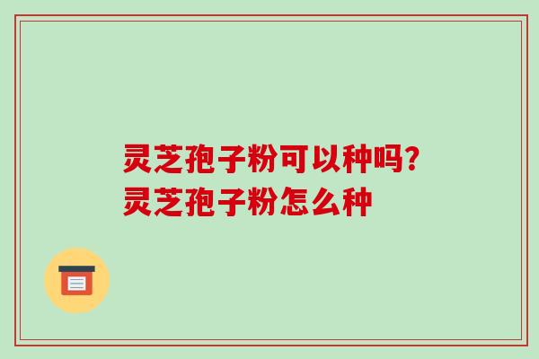 灵芝孢子粉可以种吗?灵芝孢子粉怎么种