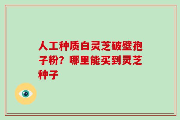 人工种质白灵芝破壁孢子粉？哪里能买到灵芝种子