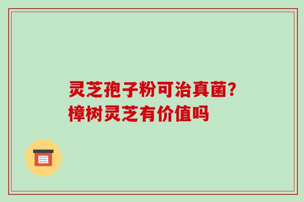 灵芝孢子粉可治真菌?樟树灵芝有价值吗