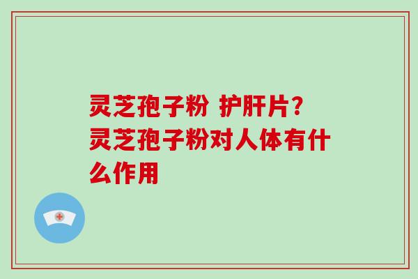 灵芝孢子粉 护肝片？灵芝孢子粉对人体有什么作用