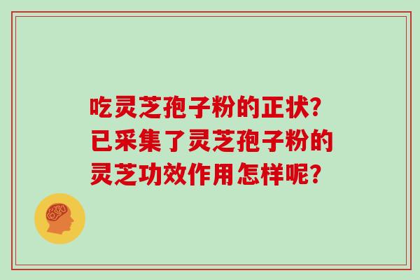 吃灵芝孢子粉的正状？已采集了灵芝孢子粉的灵芝功效作用怎样呢？