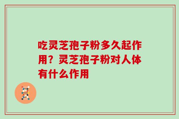 吃灵芝孢子粉多久起作用?灵芝孢子粉对人体有什么作用