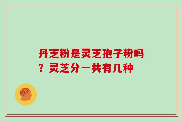 丹芝粉是灵芝孢子粉吗？灵芝分一共有几种