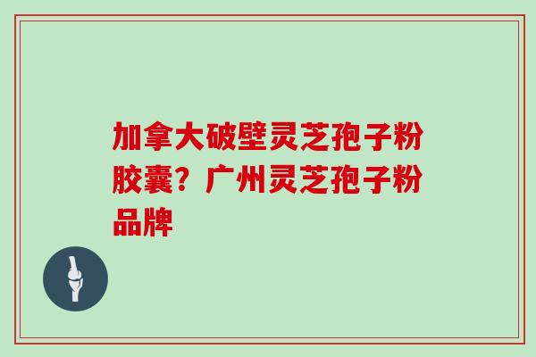 加拿大破壁灵芝孢子粉胶囊?广州灵芝孢子粉品牌