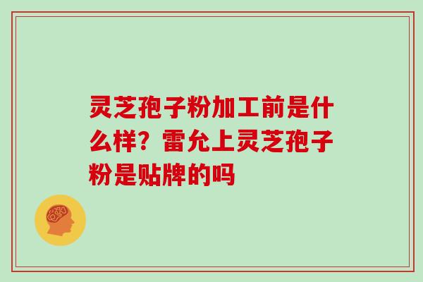 灵芝孢子粉加工前是什么样?雷允上灵芝孢子粉是贴牌的吗