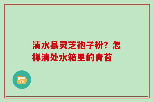 清水县灵芝孢子粉?怎样清处水箱里的青苔