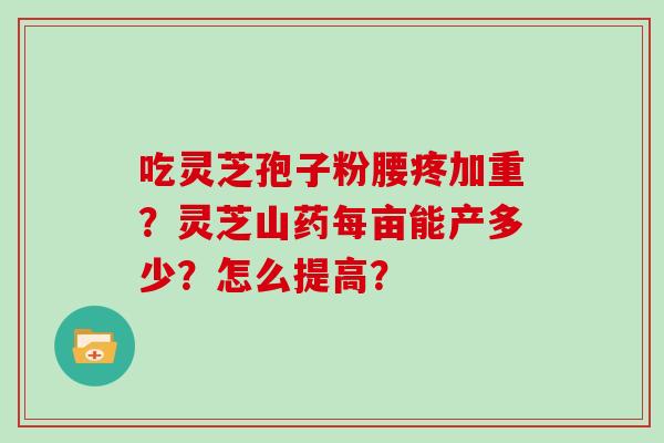 吃灵芝孢子粉腰疼加重？灵芝山药每亩能产多少？怎么提高？