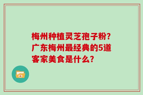 梅州种植灵芝孢子粉？广东梅州最经典的5道客家美食是什么？