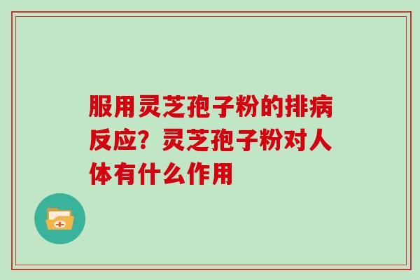 服用灵芝孢子粉的排病反应？灵芝孢子粉对人体有什么作用