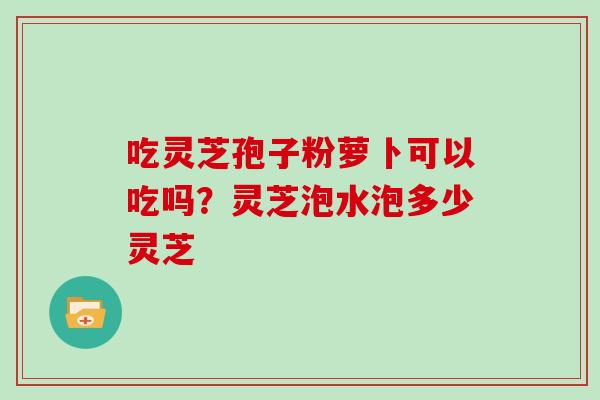 吃灵芝孢子粉萝卜可以吃吗?灵芝泡水泡多少灵芝