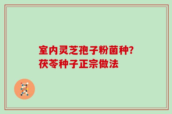 室内灵芝孢子粉菌种？茯苓种子正宗做法