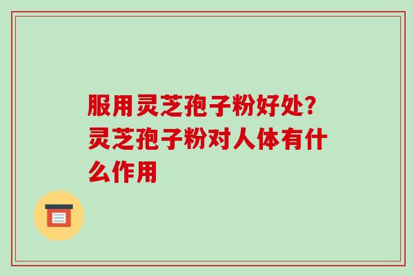 服用灵芝孢子粉好处？灵芝孢子粉对人体有什么作用