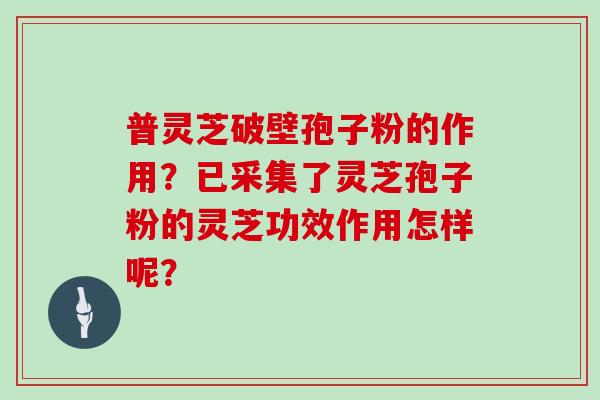 普灵芝破壁孢子粉的作用?已采集了灵芝孢子粉的灵芝功效作用怎样呢?