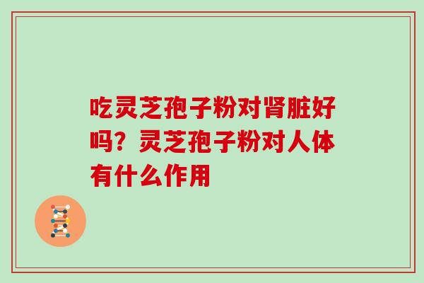 吃灵芝孢子粉对肾脏好吗?灵芝孢子粉对人体有什么作用