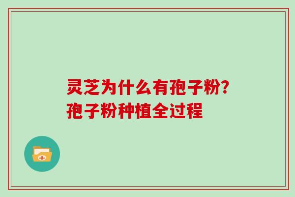 灵芝为什么有孢子粉？孢子粉种植全过程
