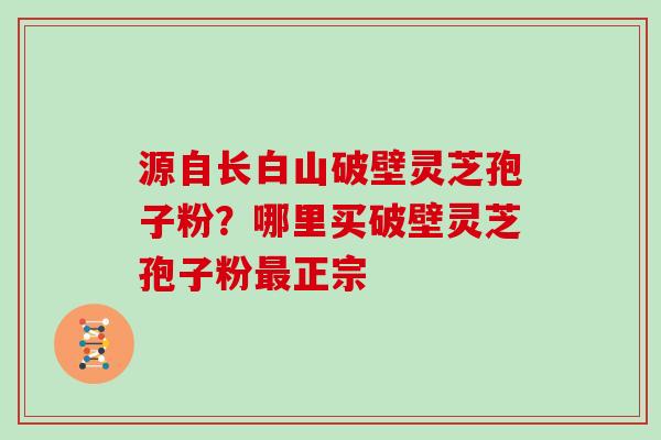源自长白山破壁灵芝孢子粉?哪里买破壁灵芝孢子粉最正宗