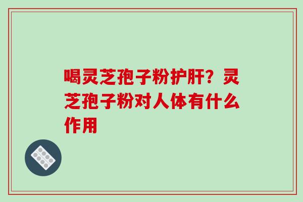 喝灵芝孢子粉护肝?灵芝孢子粉对人体有什么作用