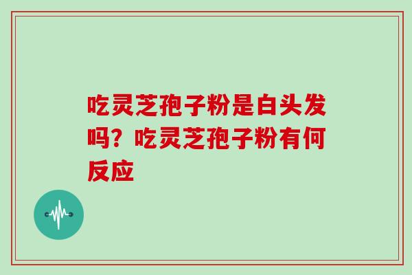 吃灵芝孢子粉是白头发吗？吃灵芝孢子粉有何反应