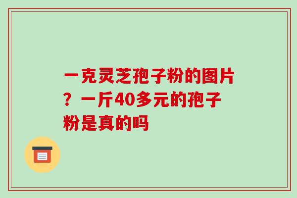 一克灵芝孢子粉的图片?一斤40多元的孢子粉是真的吗