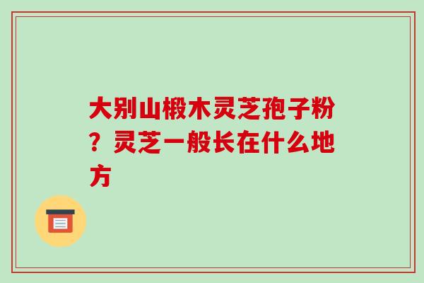 大别山椴木灵芝孢子粉?灵芝一般长在什么地方