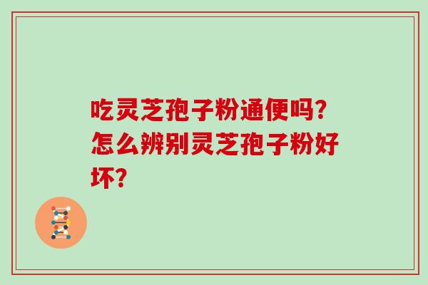 吃灵芝孢子粉通便吗?怎么辨别灵芝孢子粉好坏?