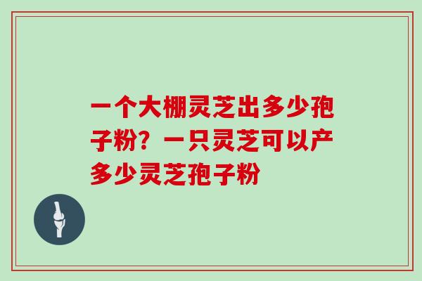 一个大棚灵芝出多少孢子粉?一只灵芝可以产多少灵芝孢子粉
