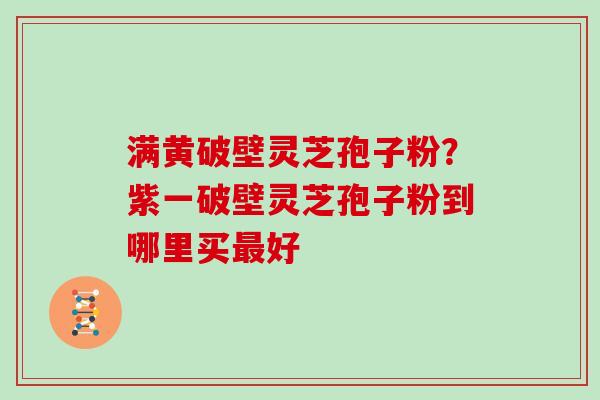 满黄破壁灵芝孢子粉?紫一破壁灵芝孢子粉到哪里买最好