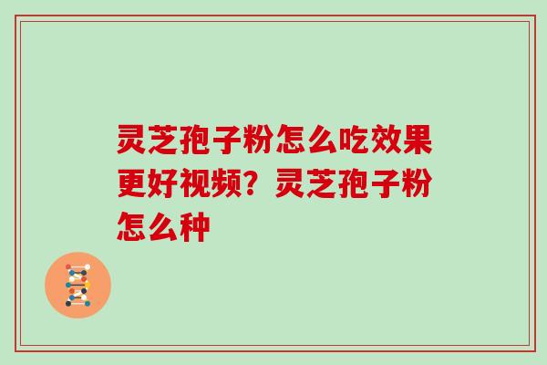 灵芝孢子粉怎么吃效果更好视频？灵芝孢子粉怎么种