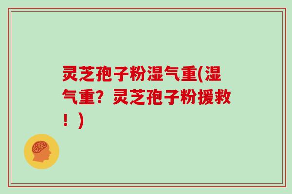 灵芝孢子粉湿气重(湿气重?灵芝孢子粉援救!)