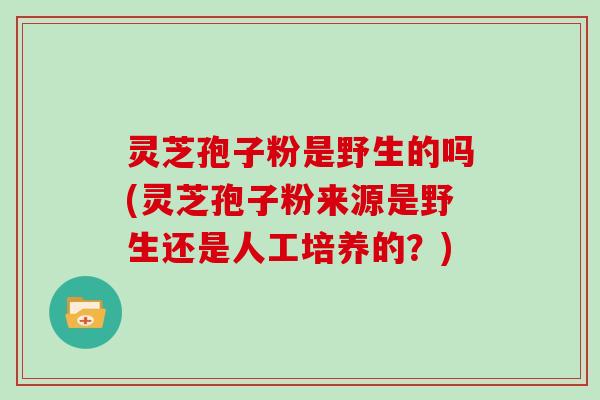 灵芝孢子粉是野生的吗(灵芝孢子粉来源是野生还是人工培养的?)